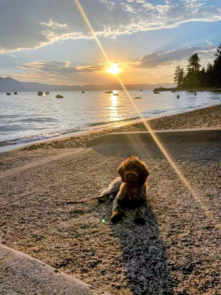 molly beach